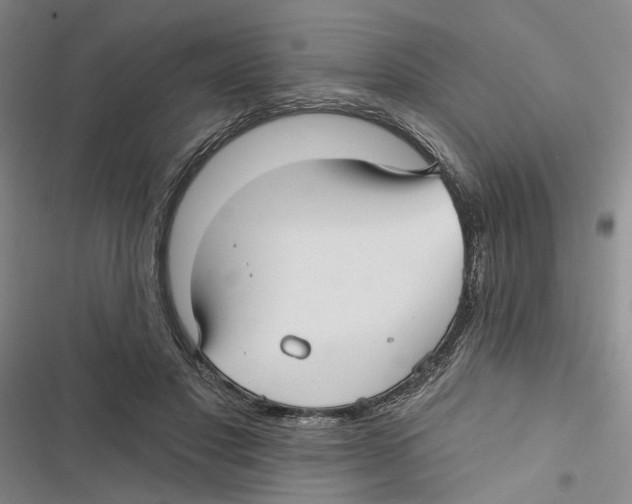 X0000116890501201001191808