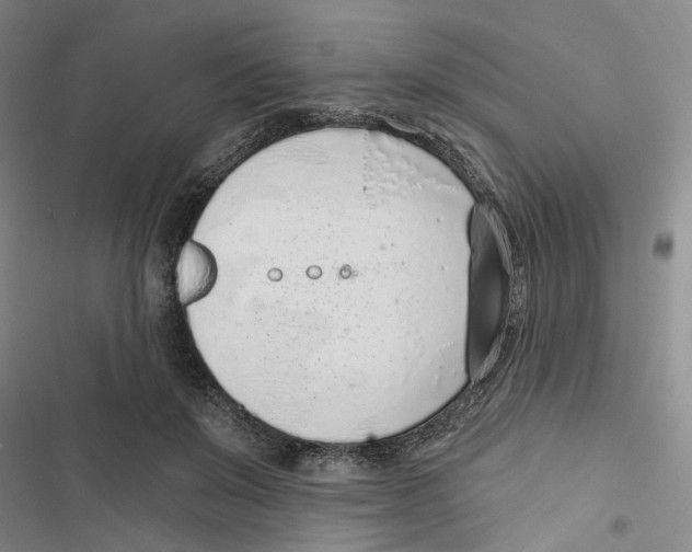 X0000116890503201001191808