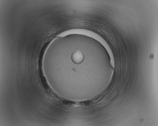 X0000116890504201001191808