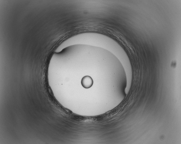 X0000116890505201001191808