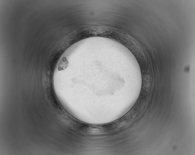 X0000116890510201001191808