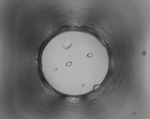 X0000116890512201001191808