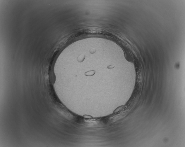 X0000116890516201001191808