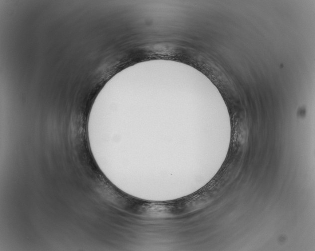 X0000116890518201001191808