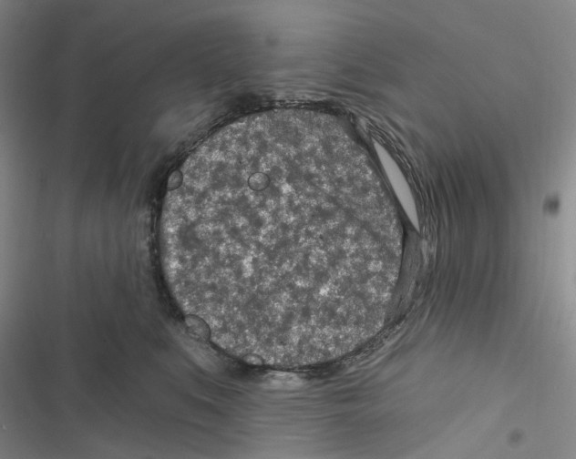 X0000116890519201001191808