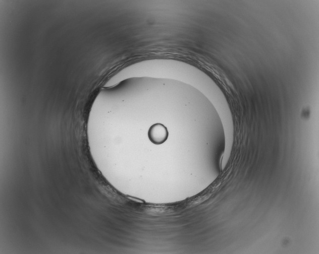 X0000116890521201001191808