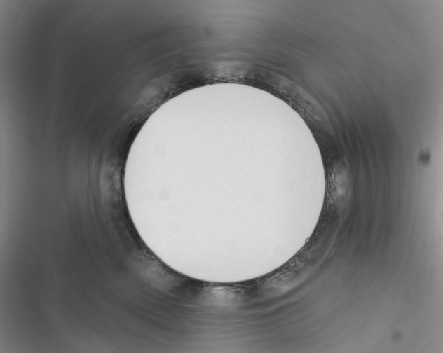 X0000116890522201001191808