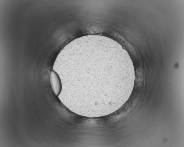 X0000116890523201001191808