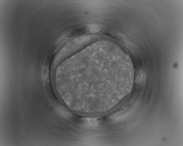 X0000116890524201001191808