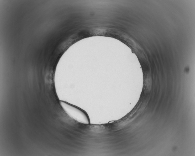 X0000116890525201001191808