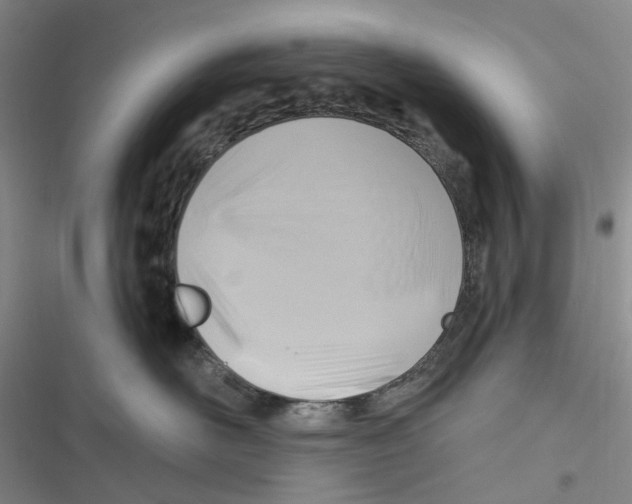 X0000116890526201001191808