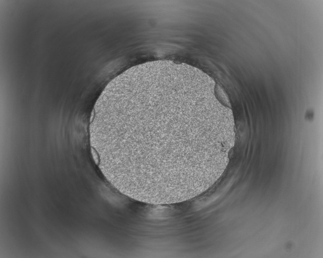 X0000116890527201001191808