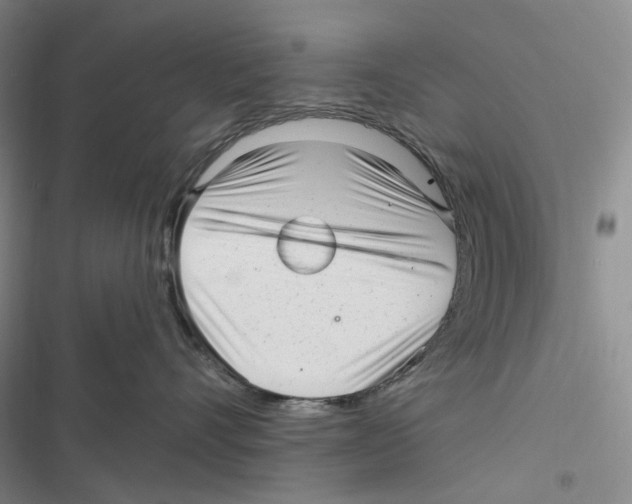 X0000116890528201001191808