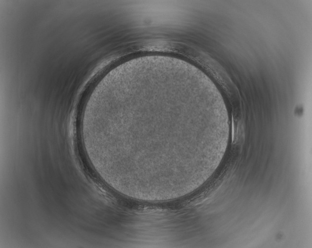 X0000116890531201001191807