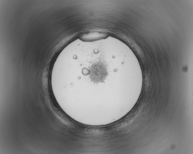 X0000116890533201001191807