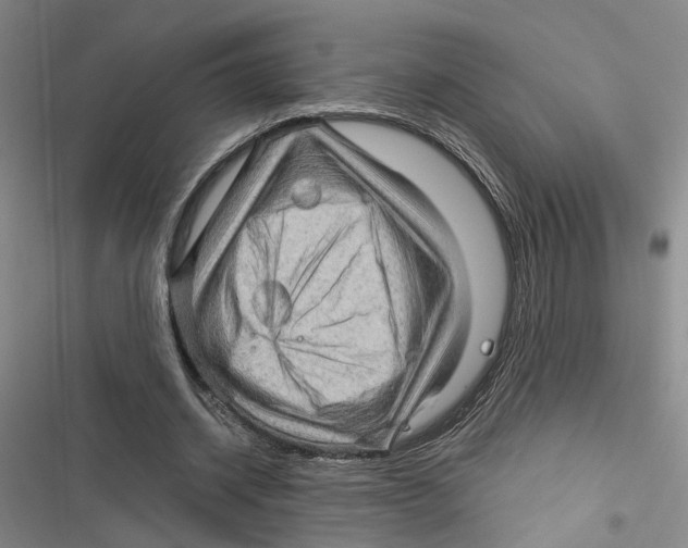 X0000116890534201001191807