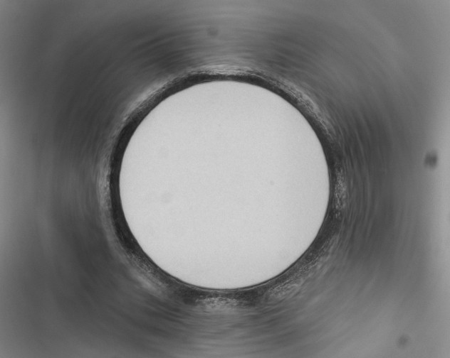 X0000116890535201001191807