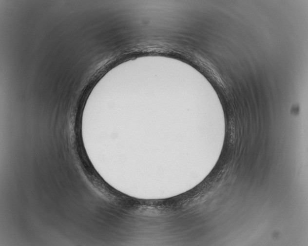 X0000116890538201001191807