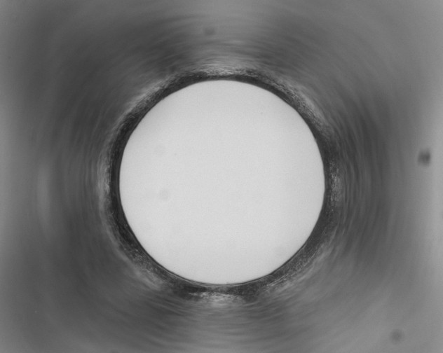 X0000116890539201001191807