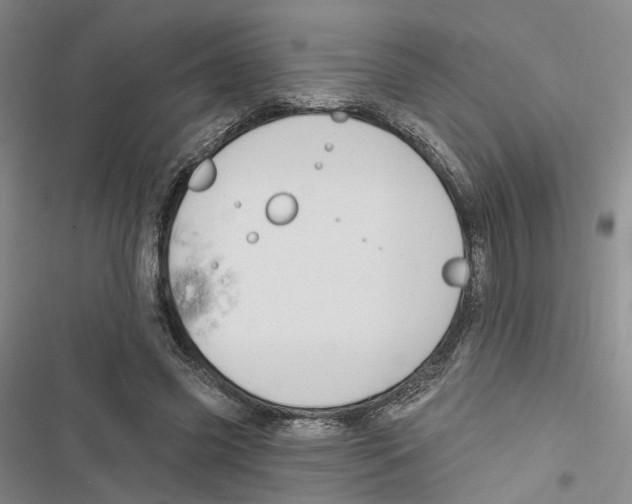 X0000116890541201001191807