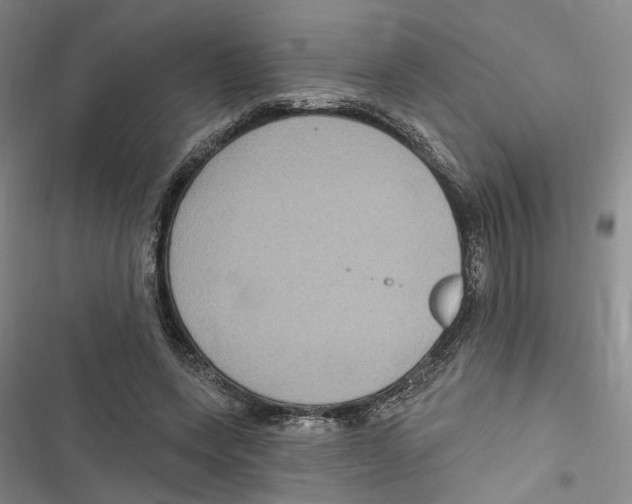 X0000116890543201001191807