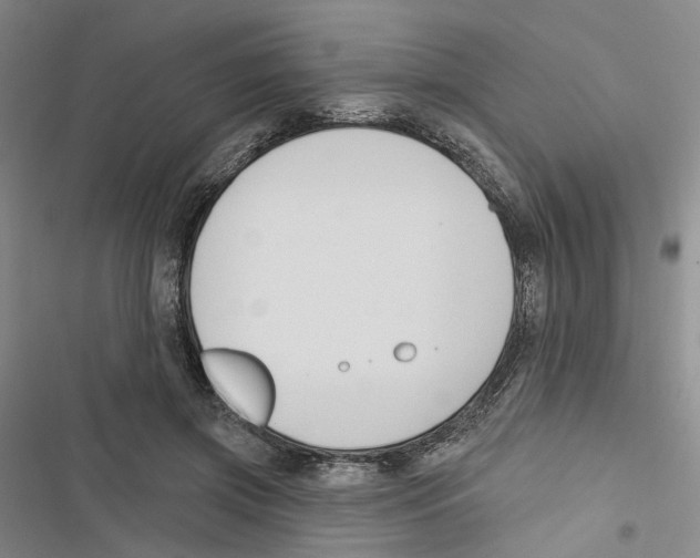 X0000116890549201001191807