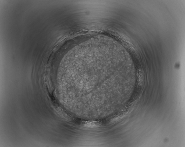 X0000116890550201001191807