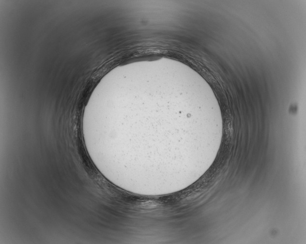 X0000116890551201001191807