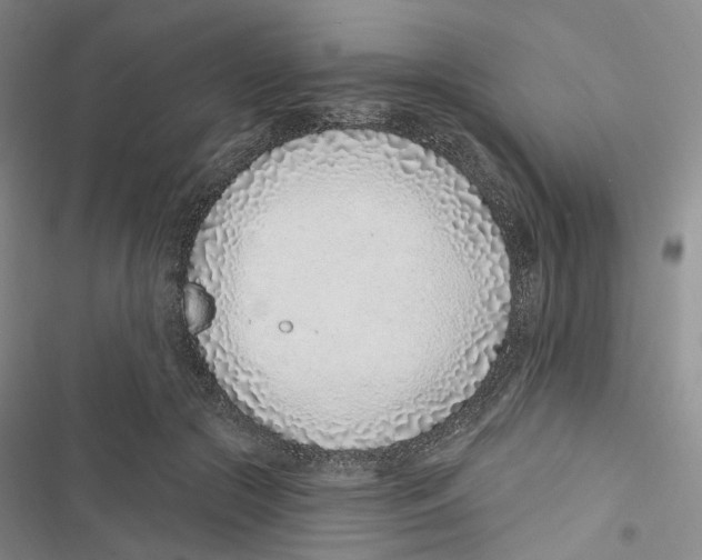 X0000116890553201001191807