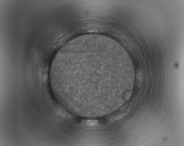 X0000116890554201001191808