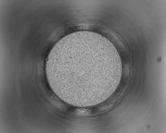 X0000116890557201001191808