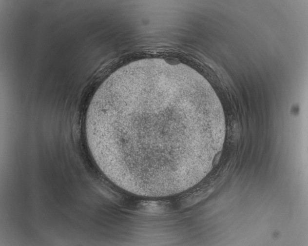 X0000116890558201001191808