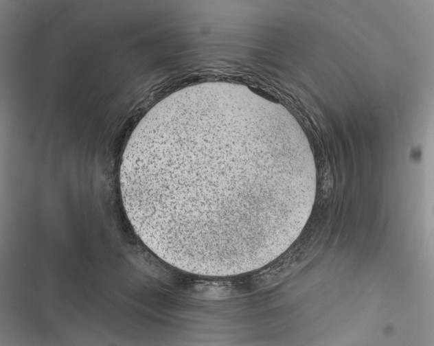 X0000116890559201001191808