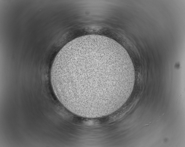 X0000116890561201001191808