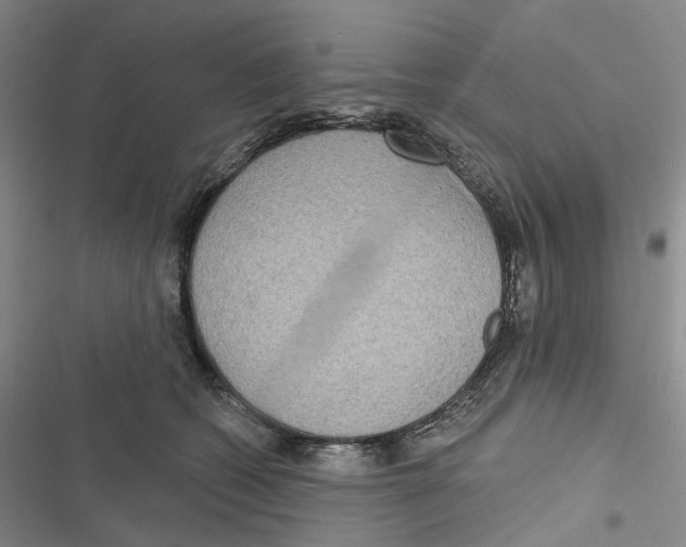 X0000116890562201001191808