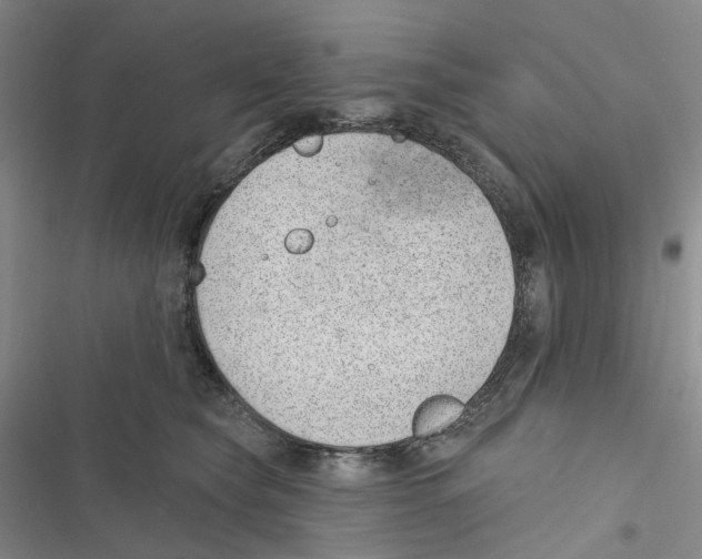 X0000116890565201001191808