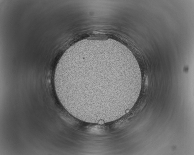 X0000116890567201001191808