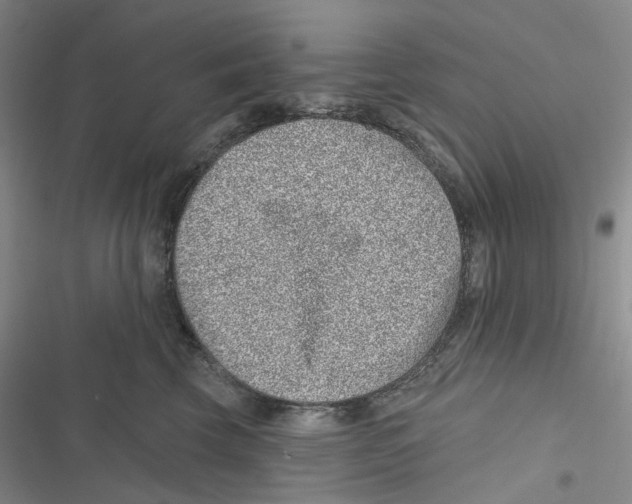 X0000116890569201001191808