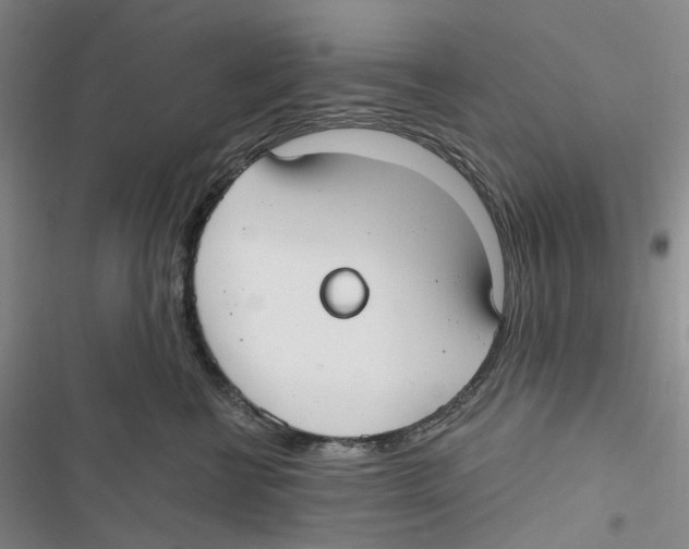 X0000116890570201001191808