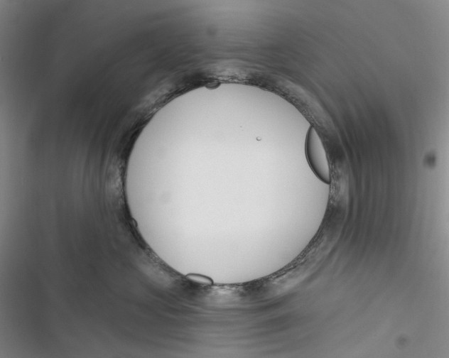 X0000116890573201001191808