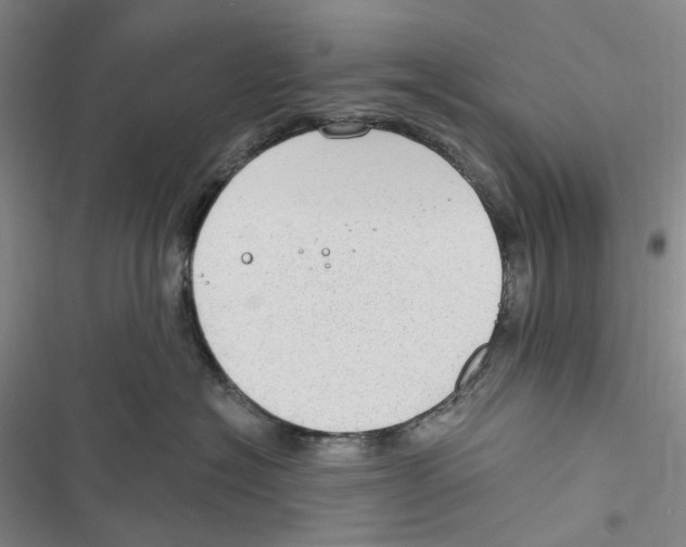 X0000116890574201001191808