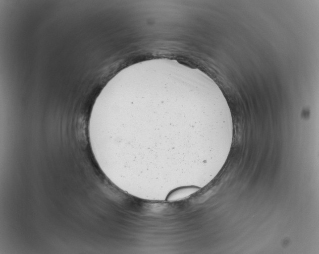 X0000116890575201001191808