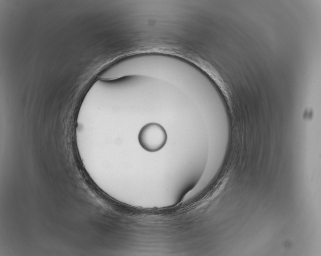 X0000116890577201001191807