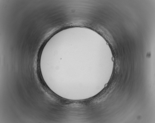 X0000116890578201001191807