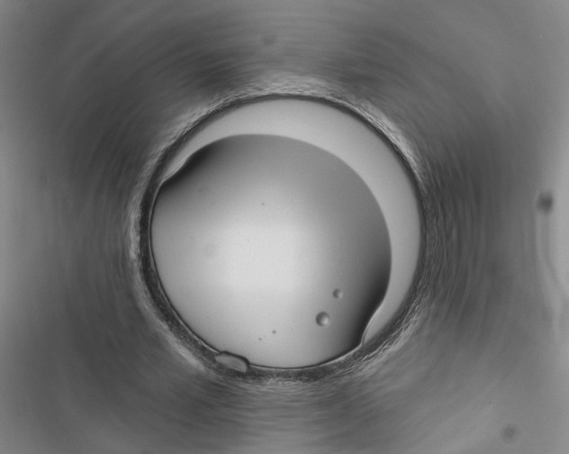 X0000116890581201001191807