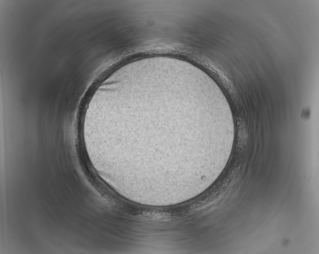 X0000116890582201001191807