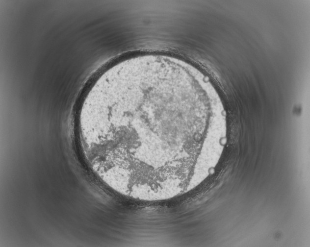 X0000116890584201001191807