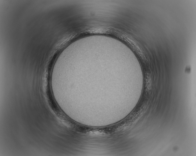 X0000116890586201001191807