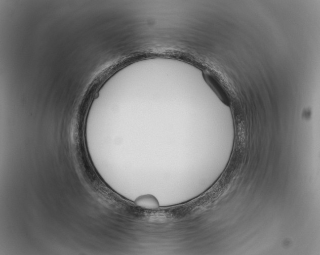 X0000116890587201001191807