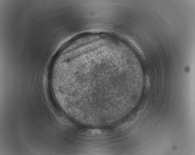 X0000116890588201001191807